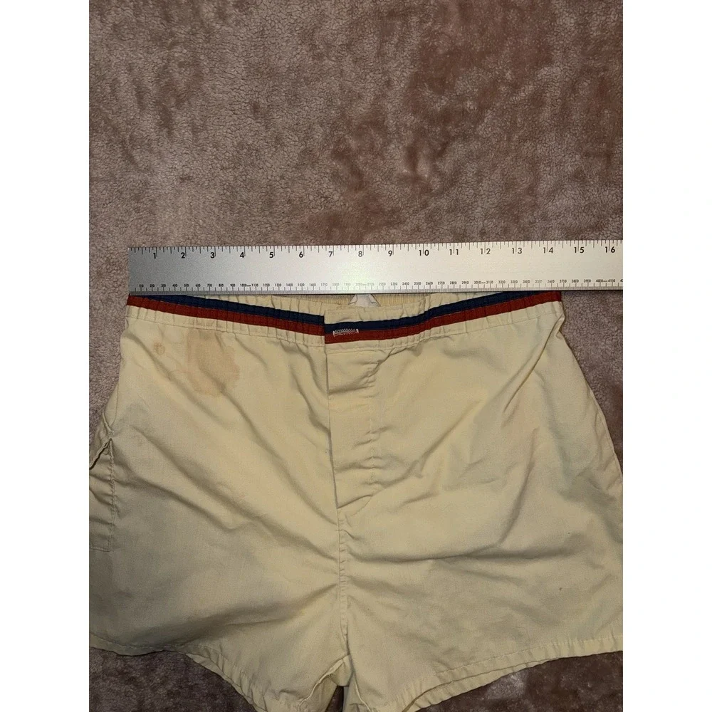 Vintage 60's 70's Distressed Swim Trunks